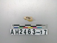 藏品(石英石片器)的圖片